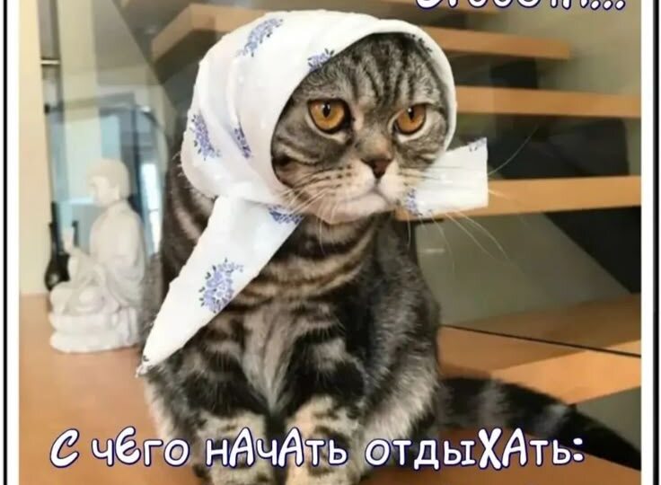 Мемы про выходные