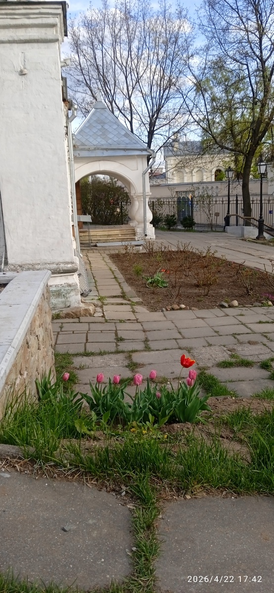 Во дворе церкви св. Владимира в Старых Садах. Фото автора.