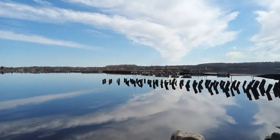 О чем молчит рыбозавод