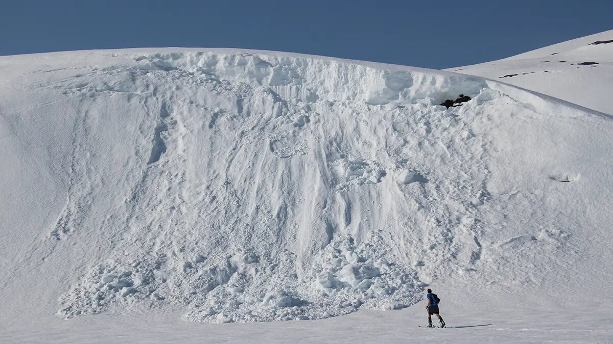    Источник: vm.ru/ Дмитрий Смирнов