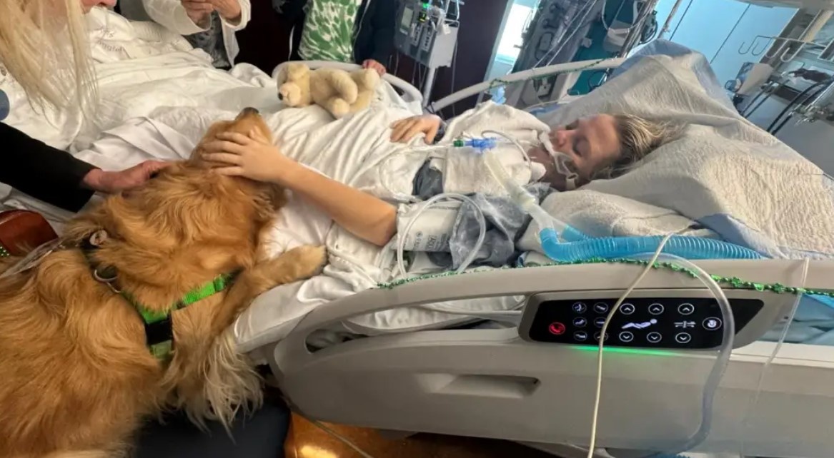 Фото предоставлено Присциллой Тиммонс