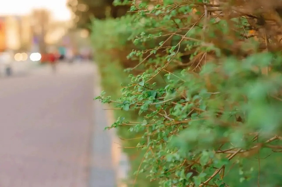    Фото:Ольга Григорьева