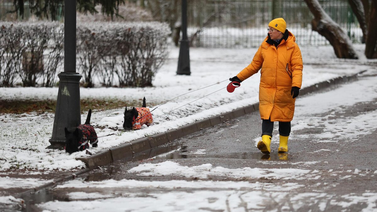    Фото: ИЗВЕСТИЯ/Валентин Егоршин