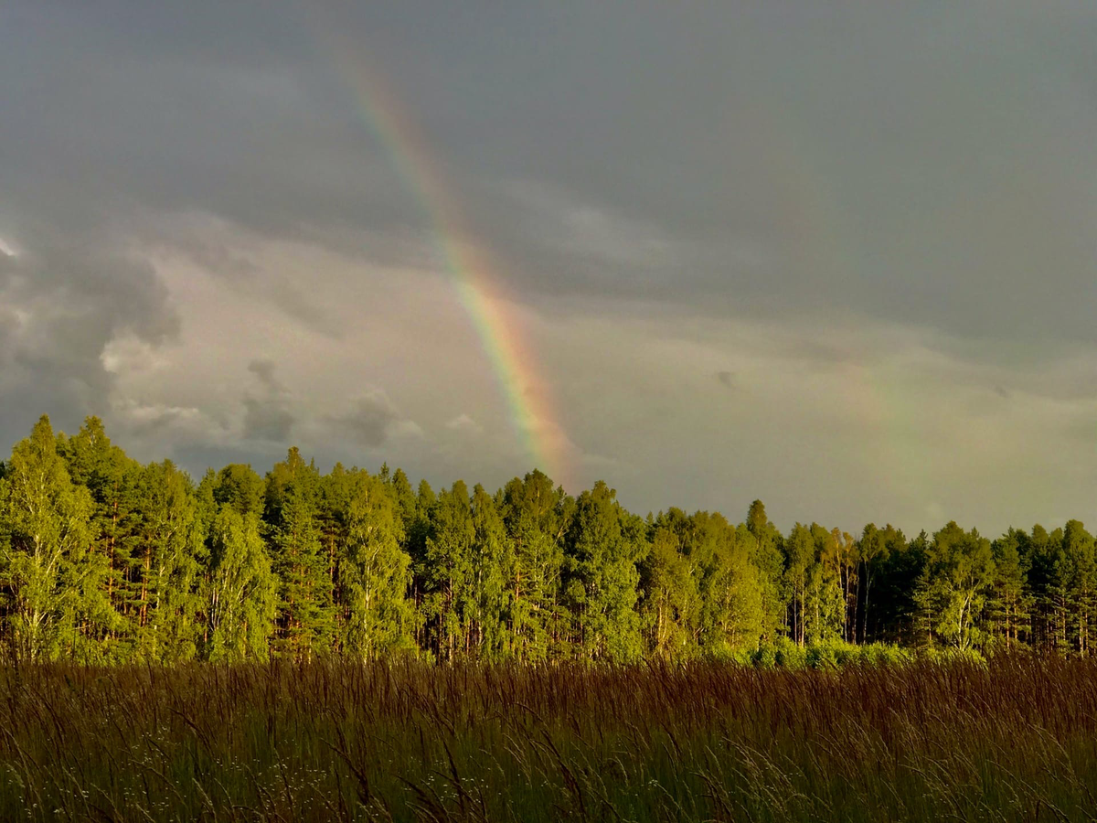 Радуга над Мещёрой. Фото автора 