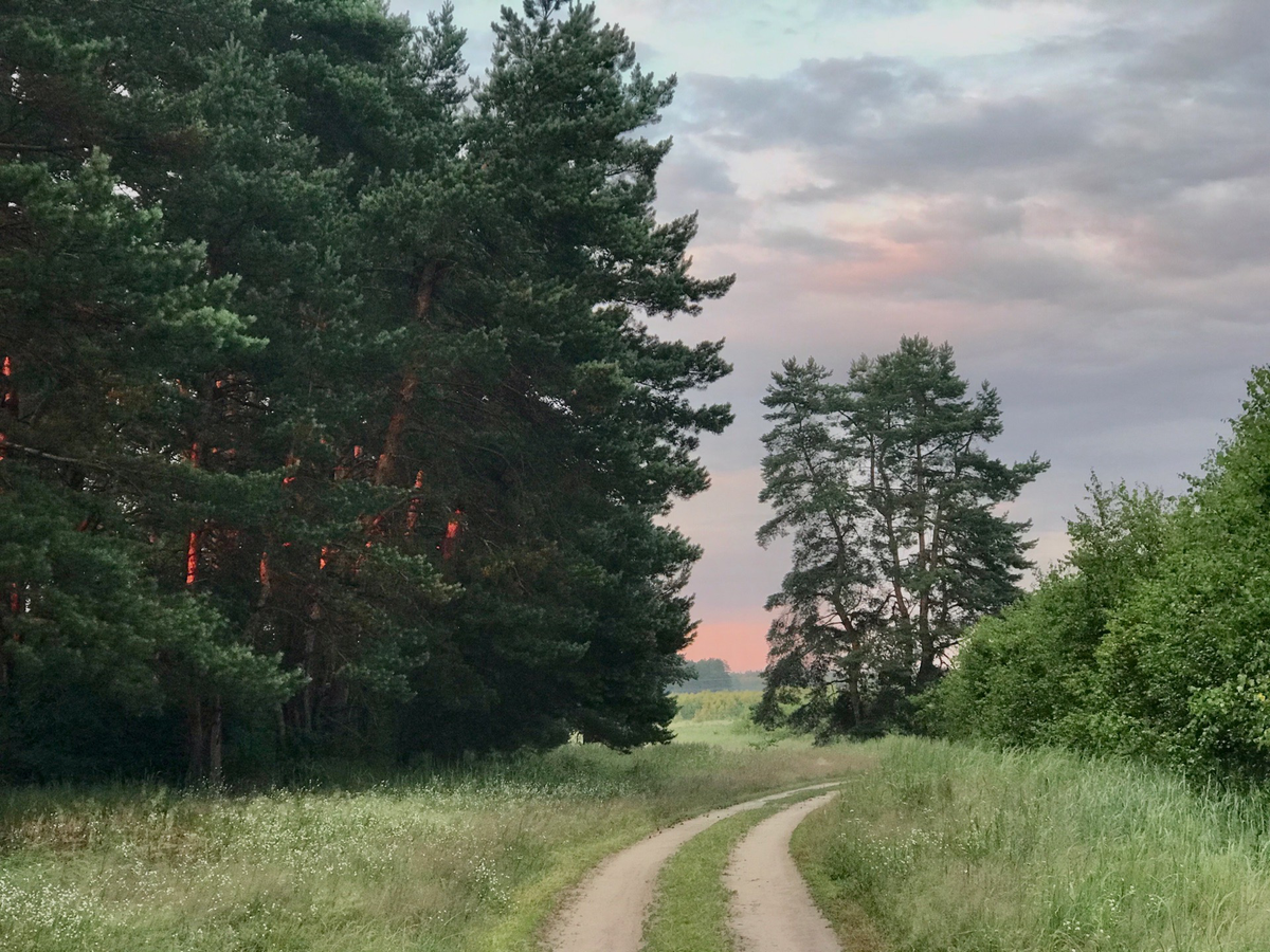 Ершовский проселок. Фото автора.