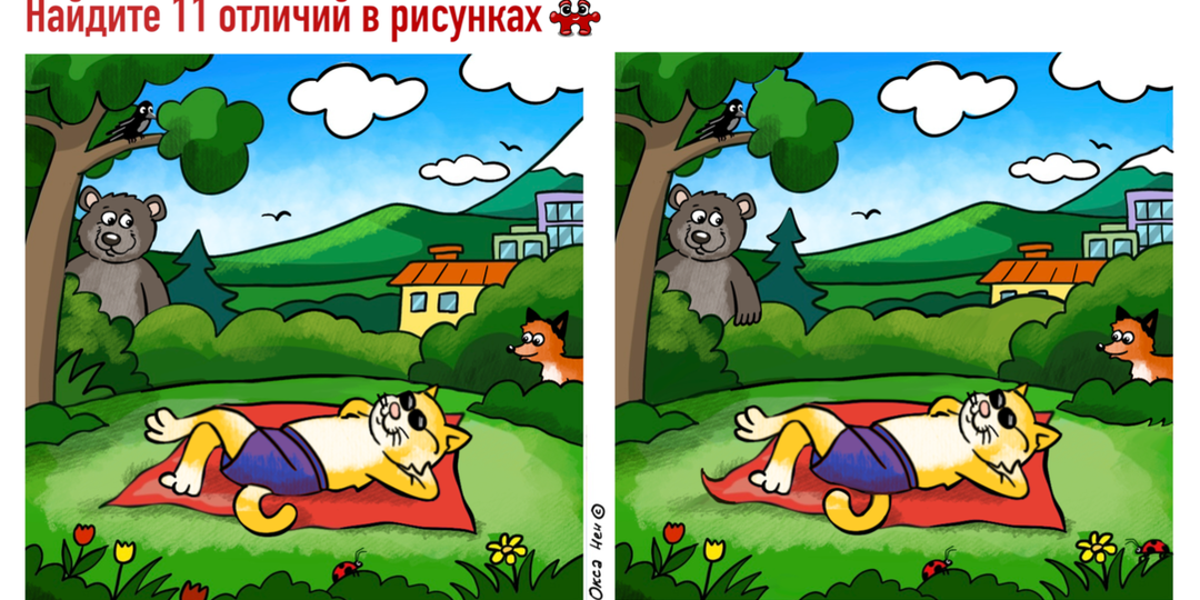 Пока Барсик спит и загорает, вы найдите 11 отличий — успеете до того, как он проснётся?