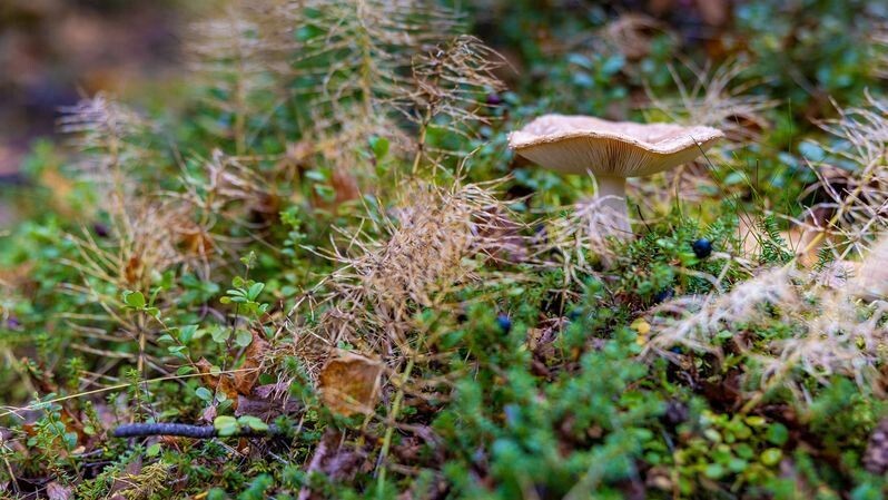    Фото: Федор Воронов/«Ямал-Медиа»