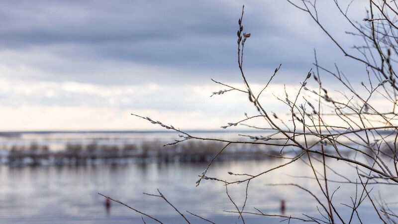    Фото: Федор Воронов/«Ямал-Медиа»