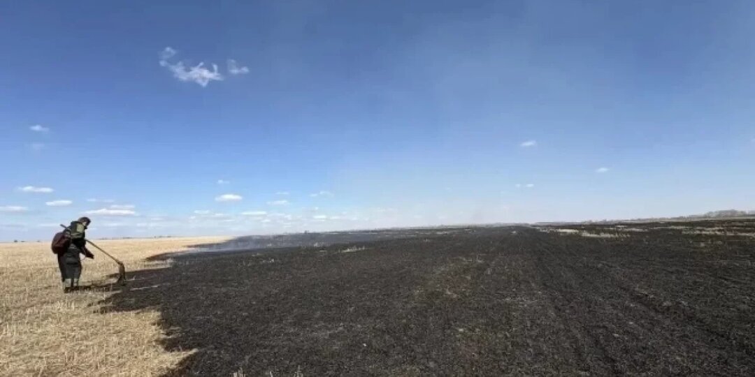 Уже 25 пожаров с начала дня потушили в Алтайском крае