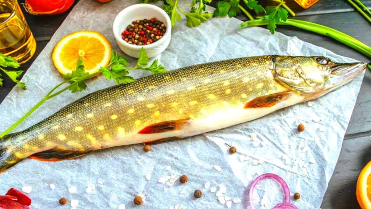Блюда из щуки вкусны, но... есть нюансы...