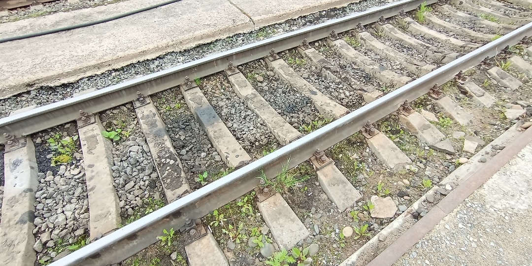 Рельсовый автобус «Орлан» на севере Карелии начнет ходить с мая