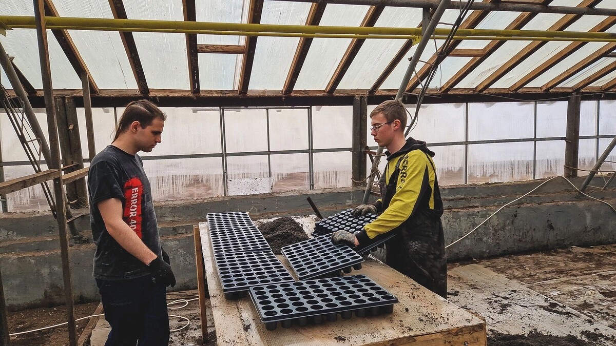    «Продаётся сад»: почему фермеры в Ростовской области бросают бизнес и продают землю?   1MI