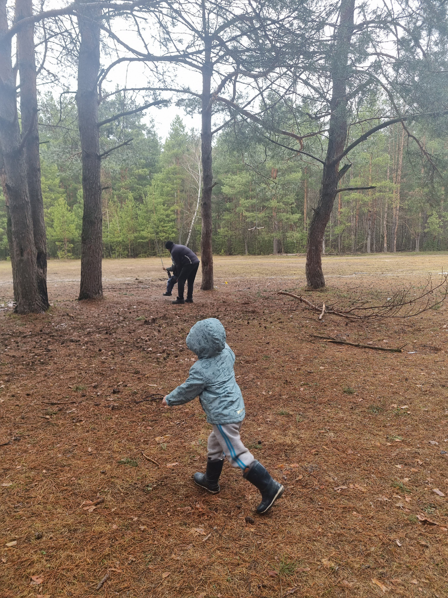 Гуляли в лесу, редко когда все в четвером