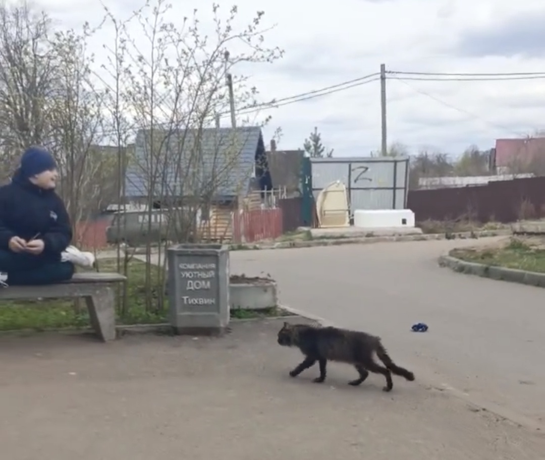 Леший.