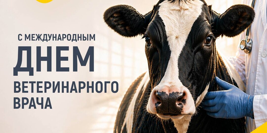 [Дорогие клиенты и партнёры