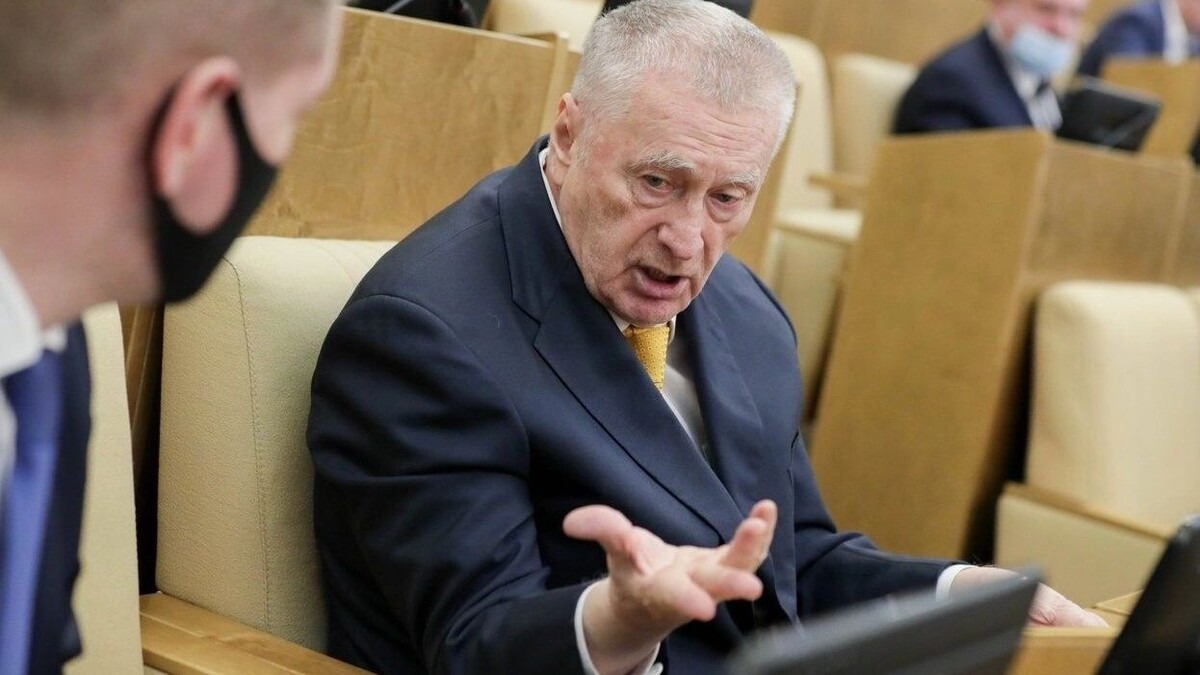    «Молчи, ростовский валенок!»: крылатые цитаты Жириновского о Ростове и о ростовчанах   Госдума