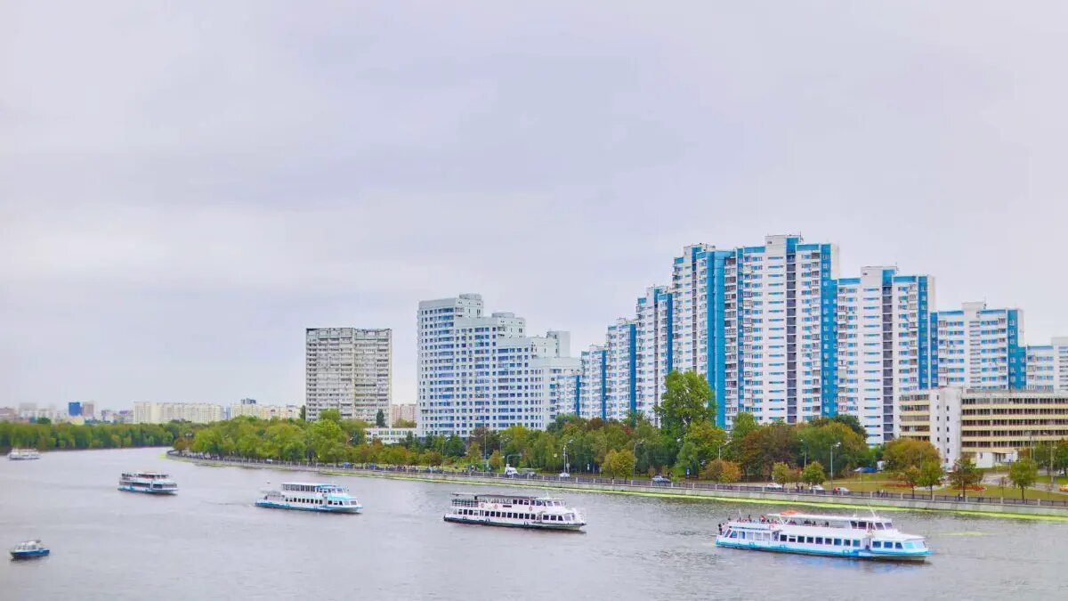    Источник: vm.ru/ Елизавета Кошелева