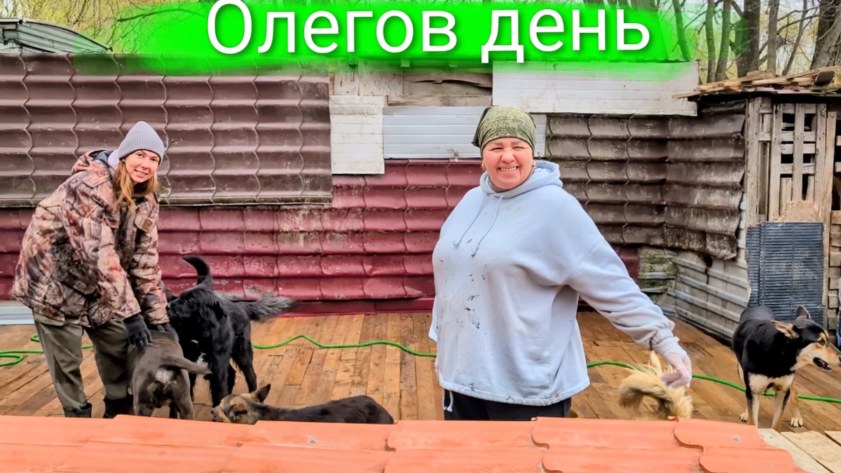 Большой вольер 