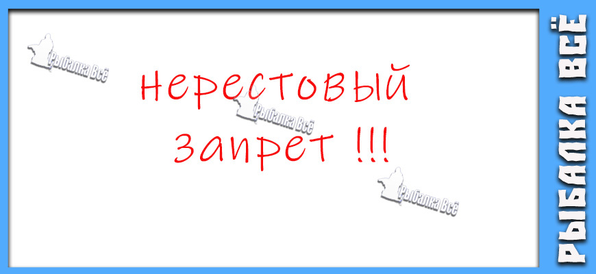 Запрет на ловлю рыбы 2026 в Москве и Московской области: