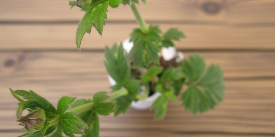 Ой-ой-ой, что же я натворила!