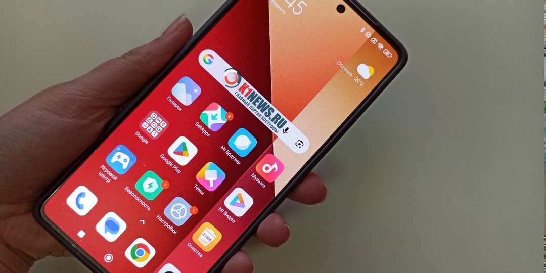 Гость-наркоман отобрал у хозяйки телефон и сбежал