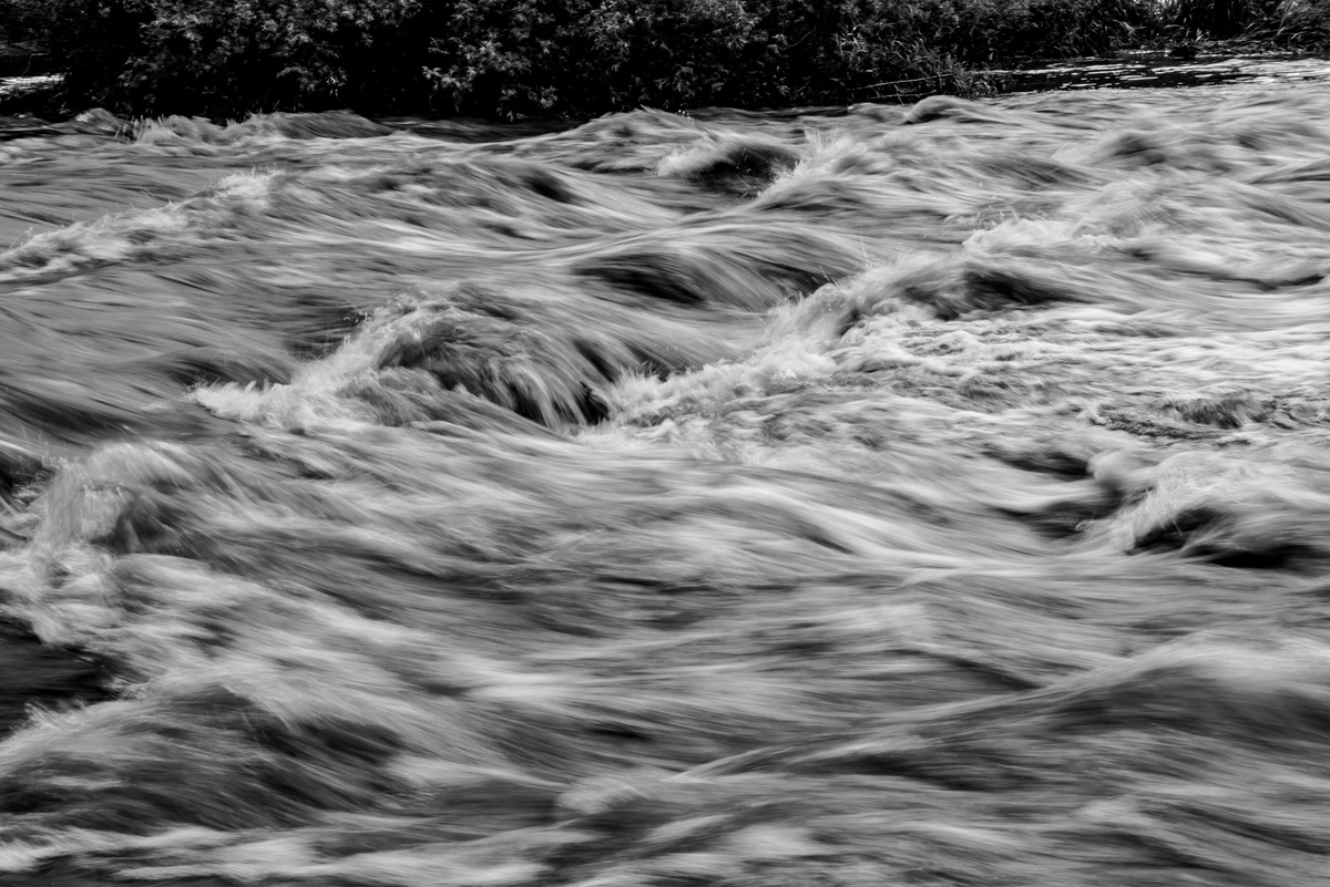 Фото: unsplash