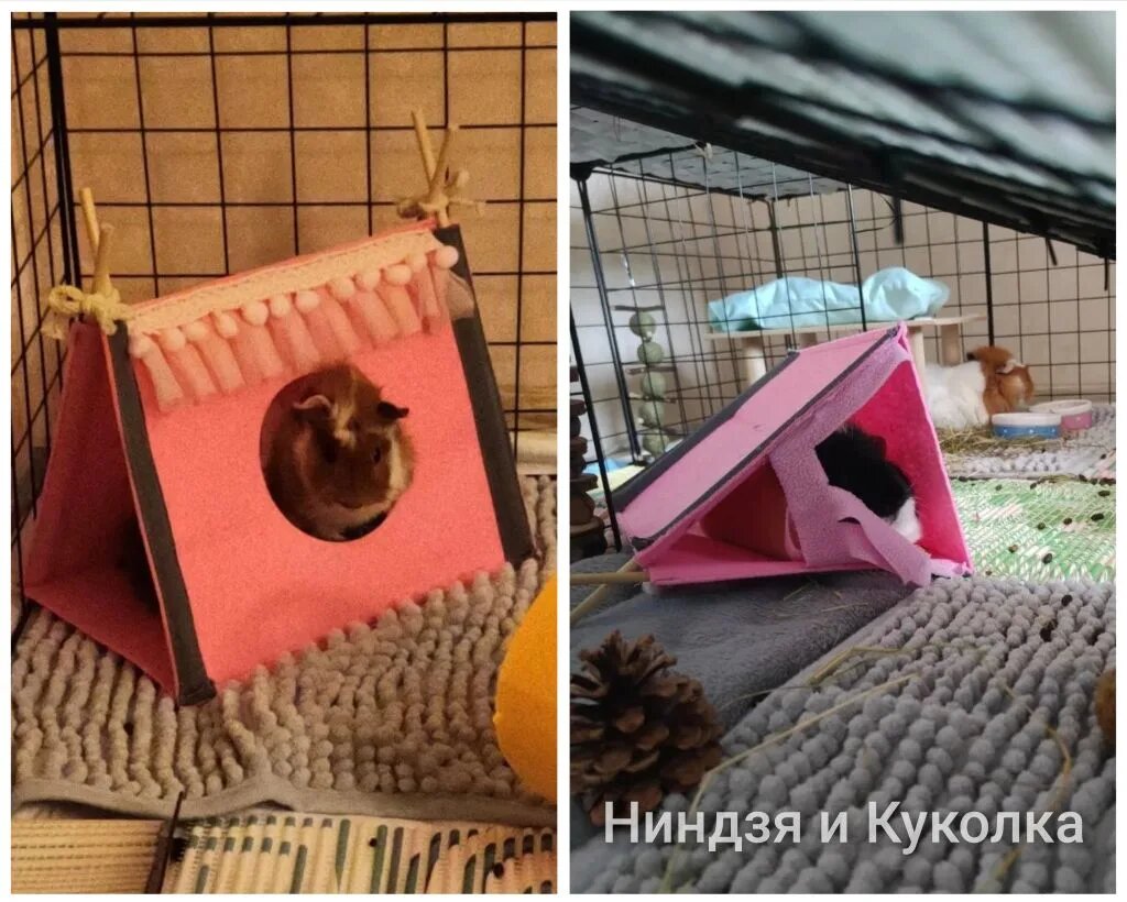 Слева - крошка Папушка, справа - уже взрослая Дуся, перевернувшая вигвам, чтобы удобнее в нем расположиться