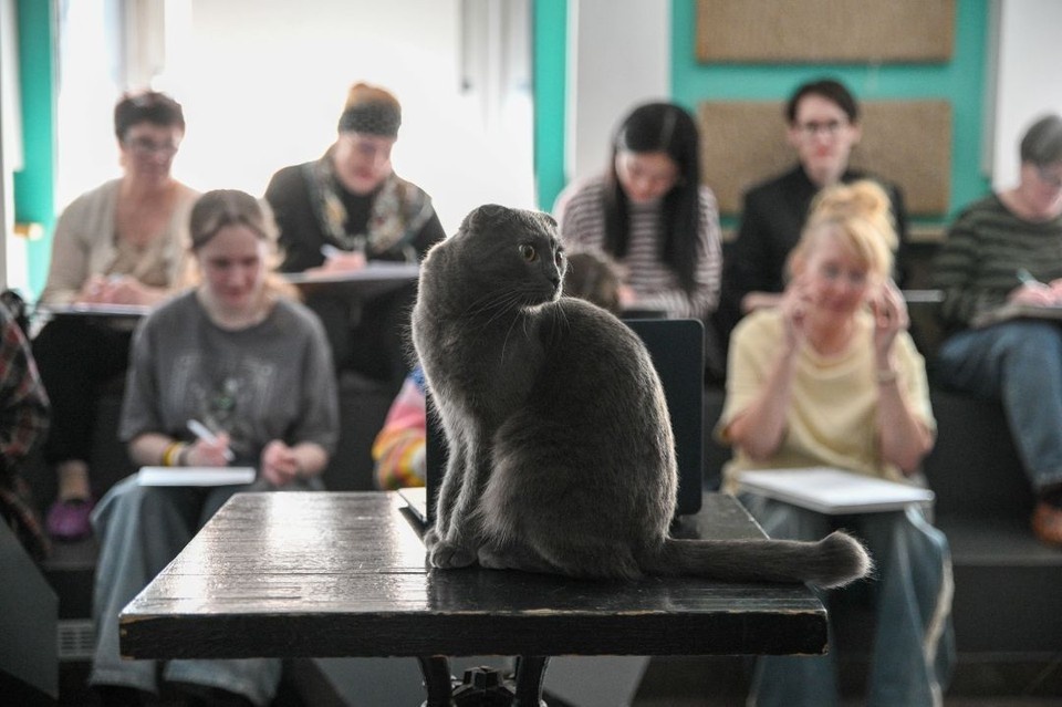    В Ростове жители написали исторический «Диктант Победы» в школах и библиотеках. Алексей БУЛАТОВ