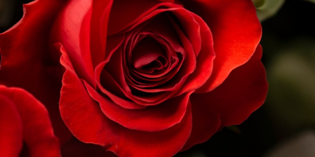 «Вахта памяти» открылась в Петрозаводске