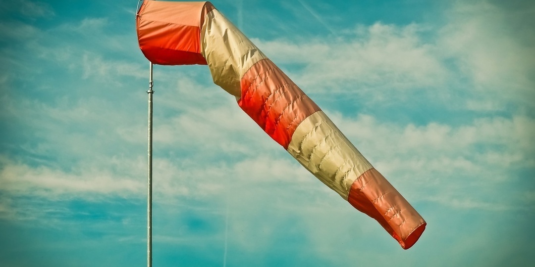 В Воронеже объявили штормовое предупреждение из-за сильного ветра