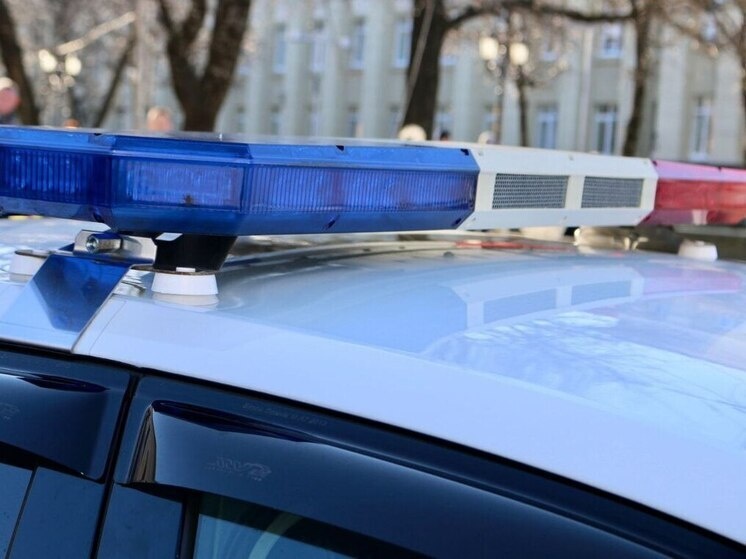     Фото: ГУ МВД России по СК