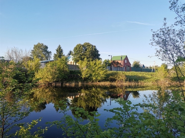     Фото: МК в Самаре