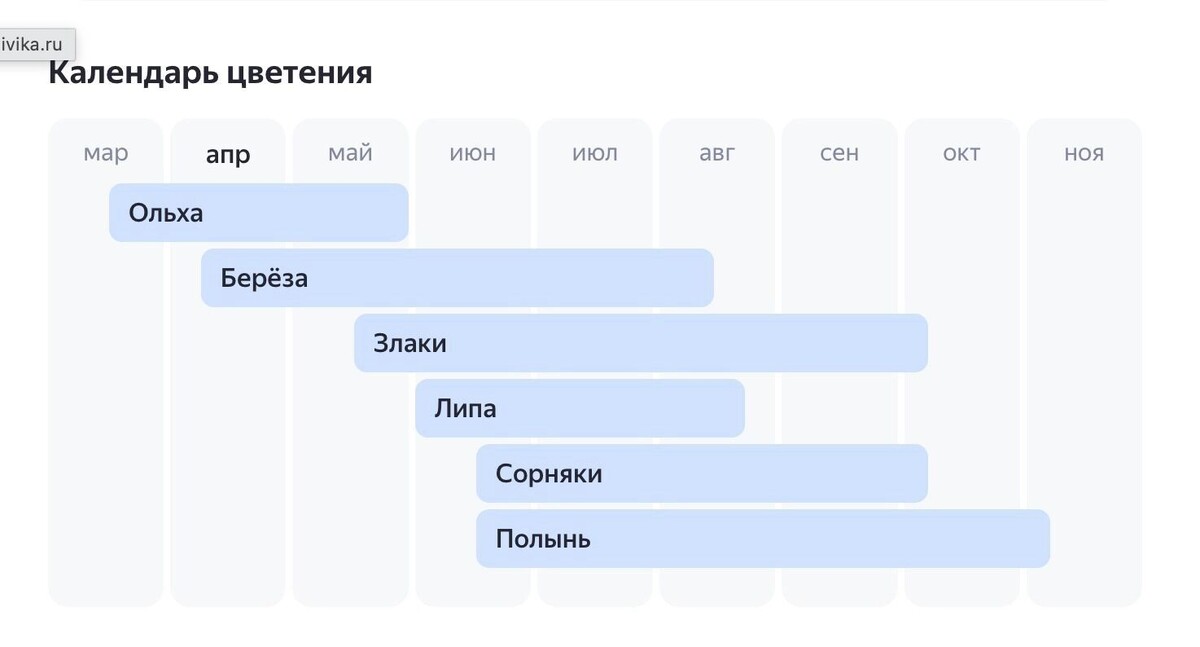    Показываем календарь цветения в Омске   «Яндекс. Погода»