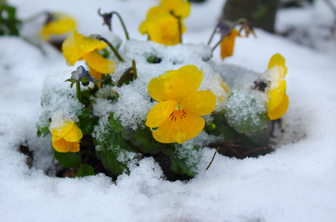 Фото из открытых источников 