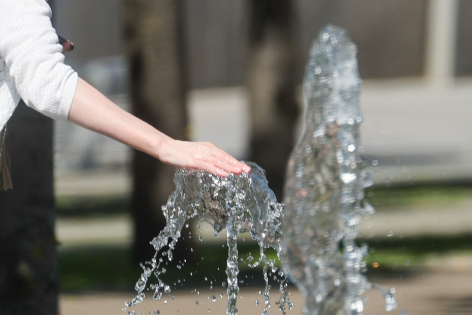    Алексей Белкин/NEWS.ru