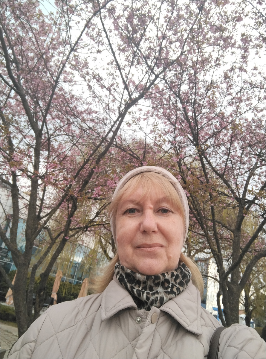 Селфи с вожделенной цветущей сакурой! 