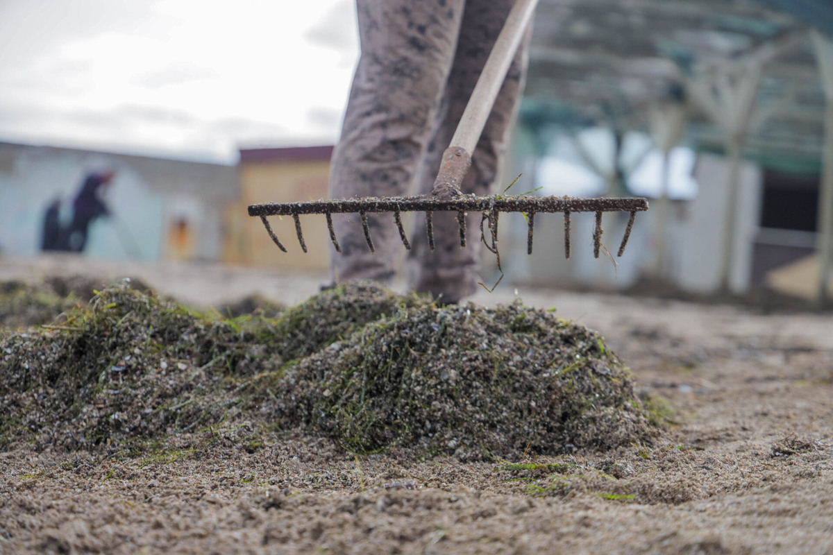    Фото: ТРК «Таврия»