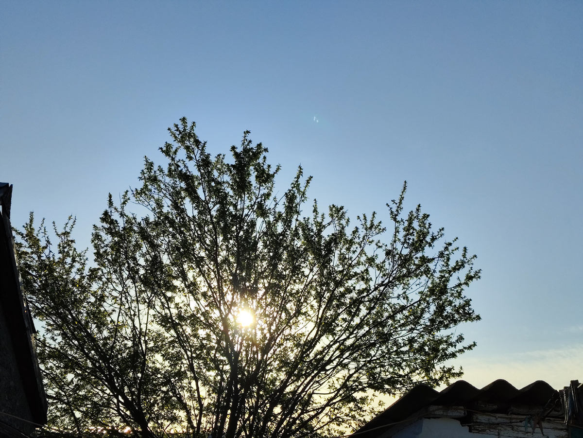 Солнце уже высоковато...