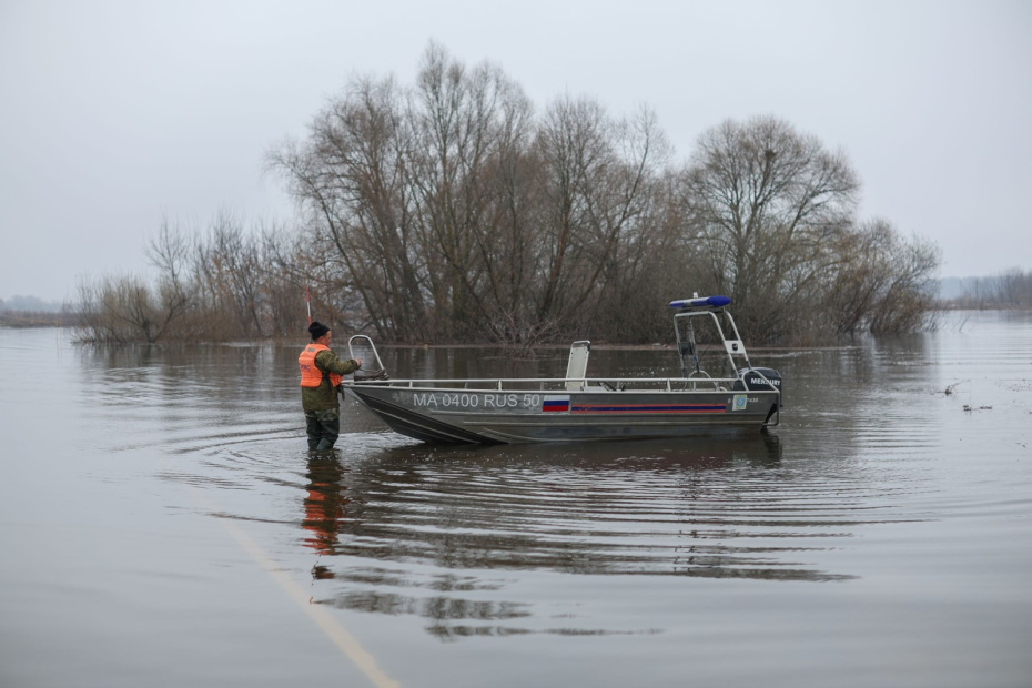    Алексей Белкин/NEWS.ru