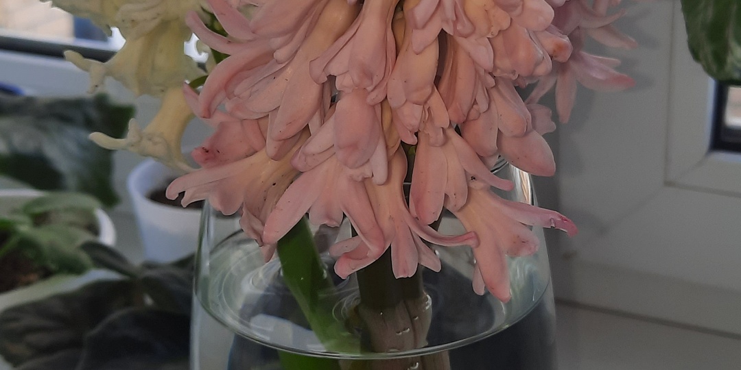 Ах ты мой Шумахер 🦼