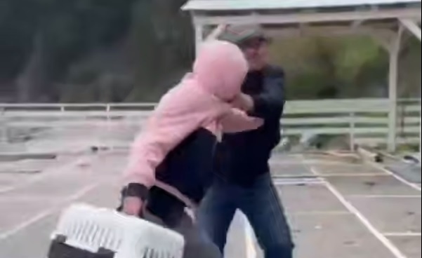 Полиция проводит проверку по факту нападения на девушку в Туапсе