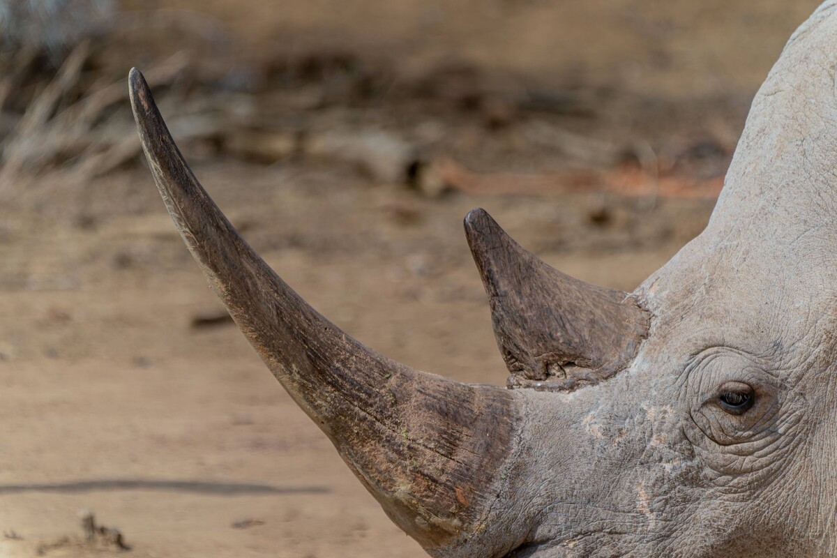     / Источник: © Global Look Press