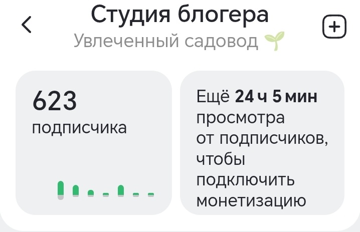 Часы до монетизации движутся медленно, но верно.