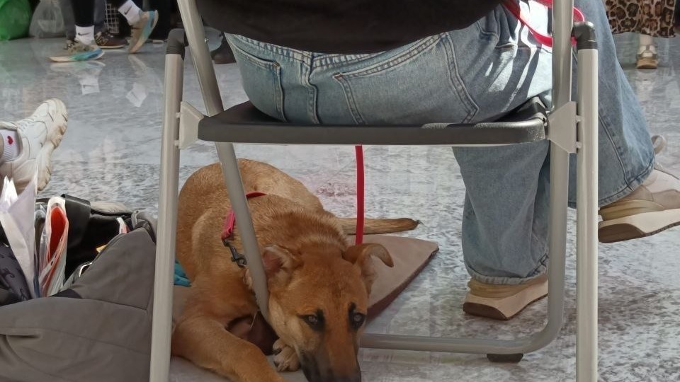 #найдидруга_25апреля