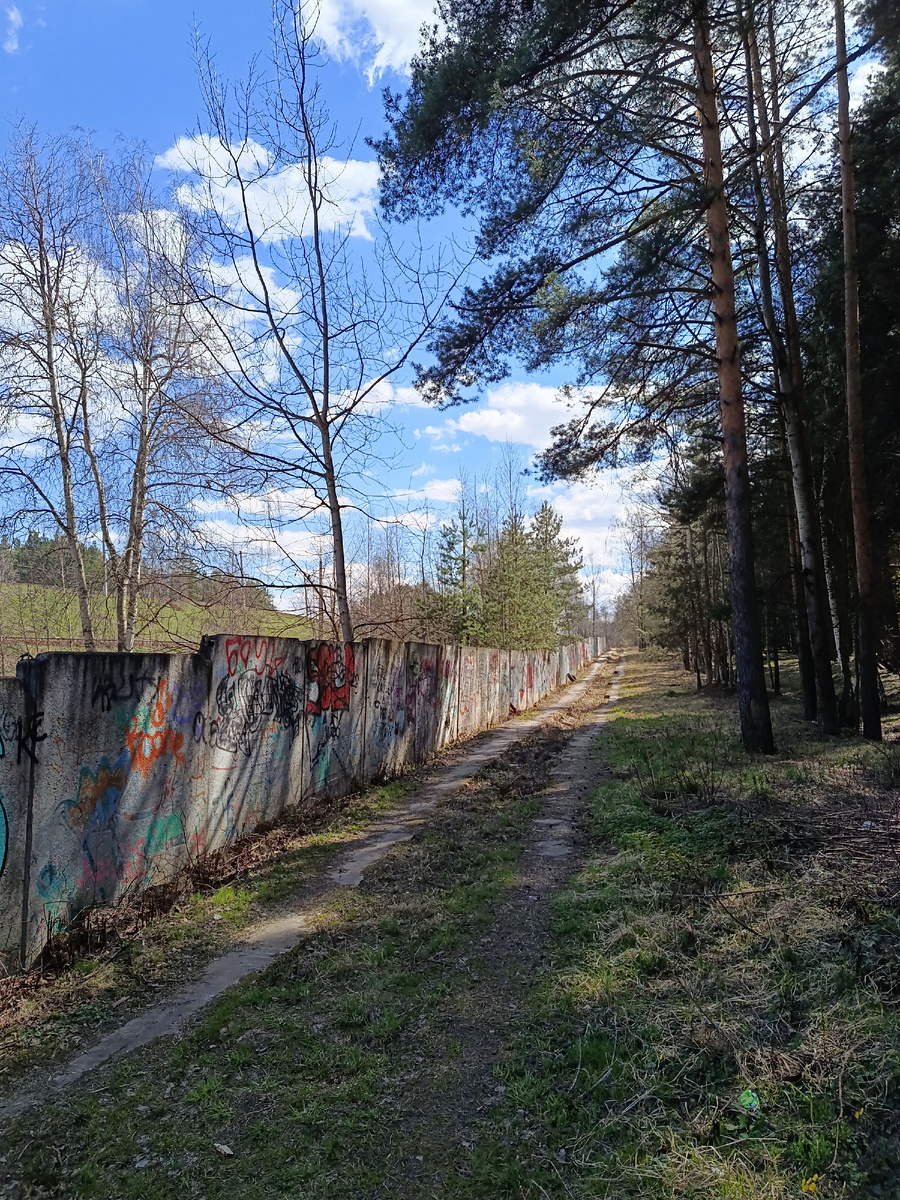 Фото автора.