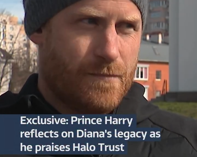 Гарри, конечно, не отличается умом и сообразительностью, но полезные и.....ты нужны всем