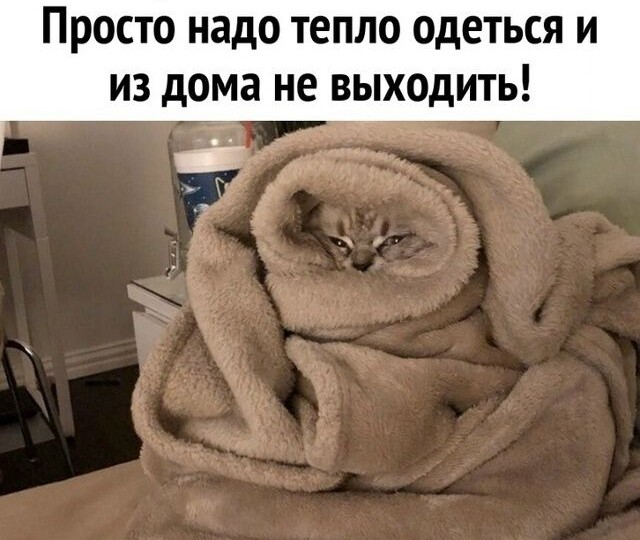 Юморные мемы для поднятия настроения