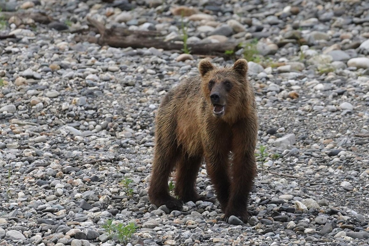     / Источник: © ИЗВЕСТИЯ/Эдуард Корниенко