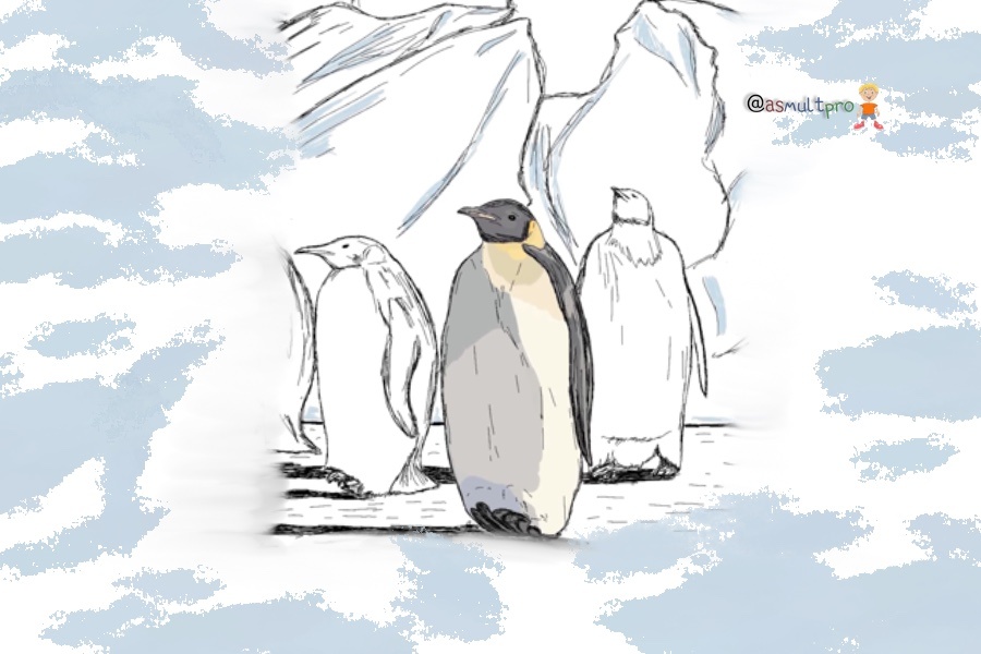 Обучающие истории от @asmultpro