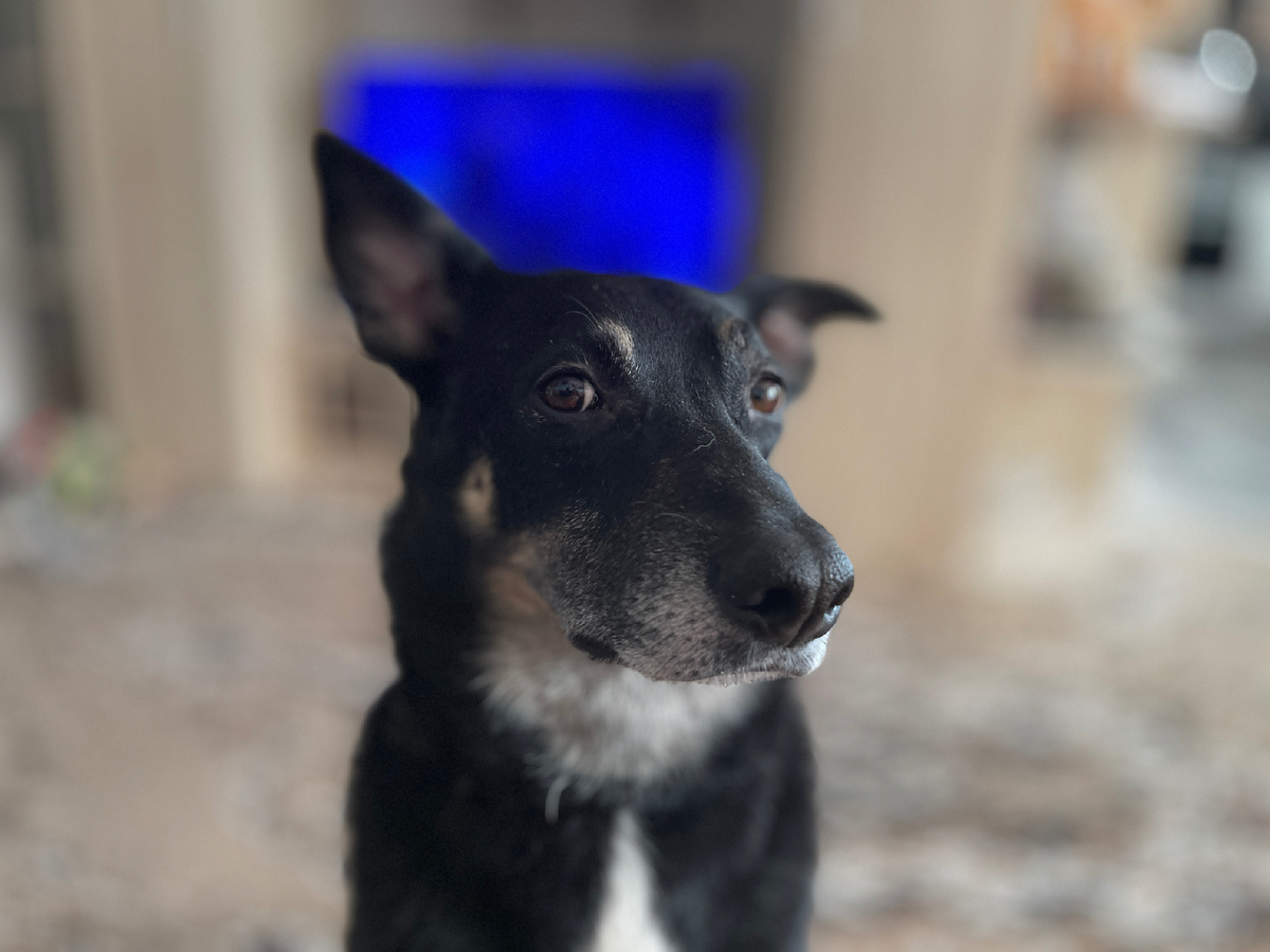 Вы же готовы читать 😉?